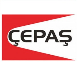 Çepaş Conveyor Automation System